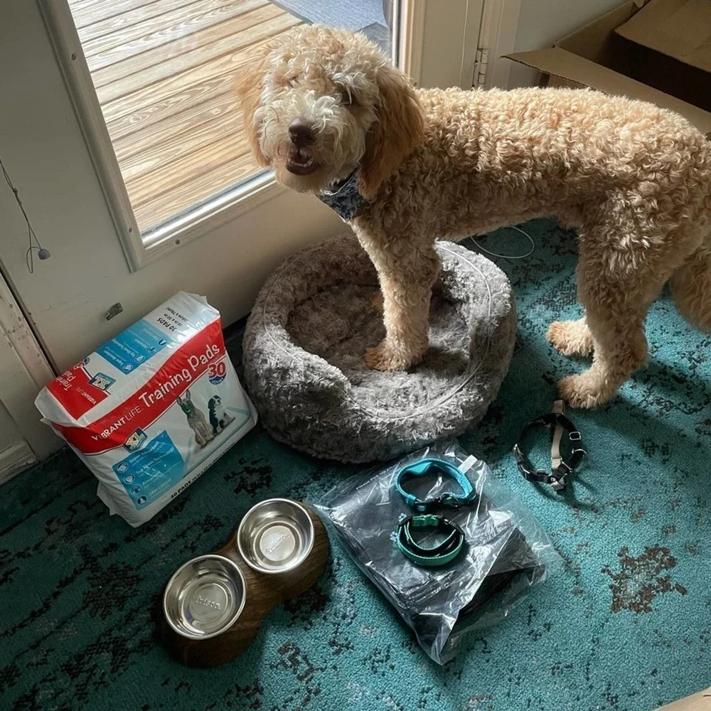 Puppy Starter Kit (dog not included)